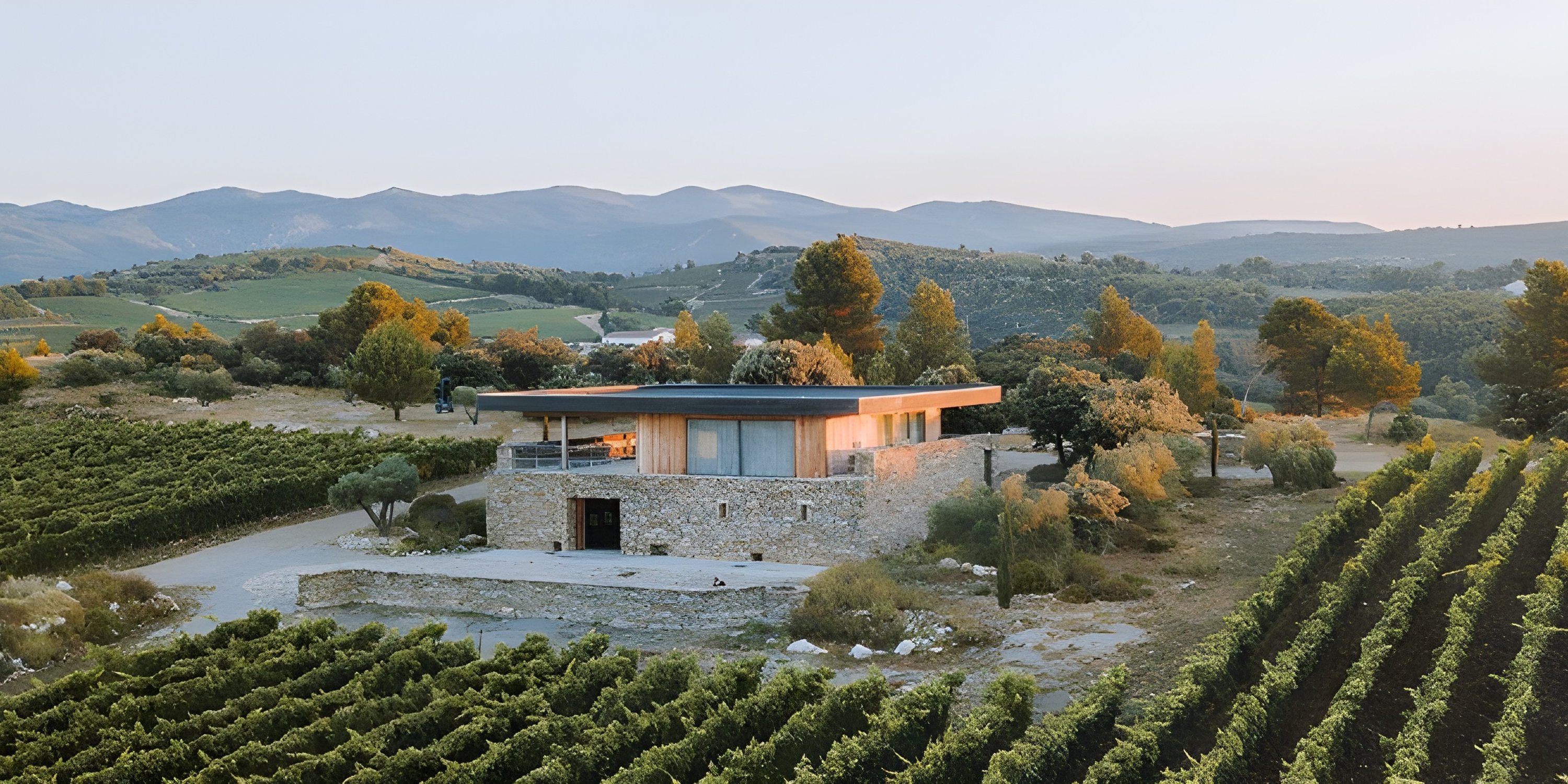 Minervois la livinière clos d'ora vigne syrah