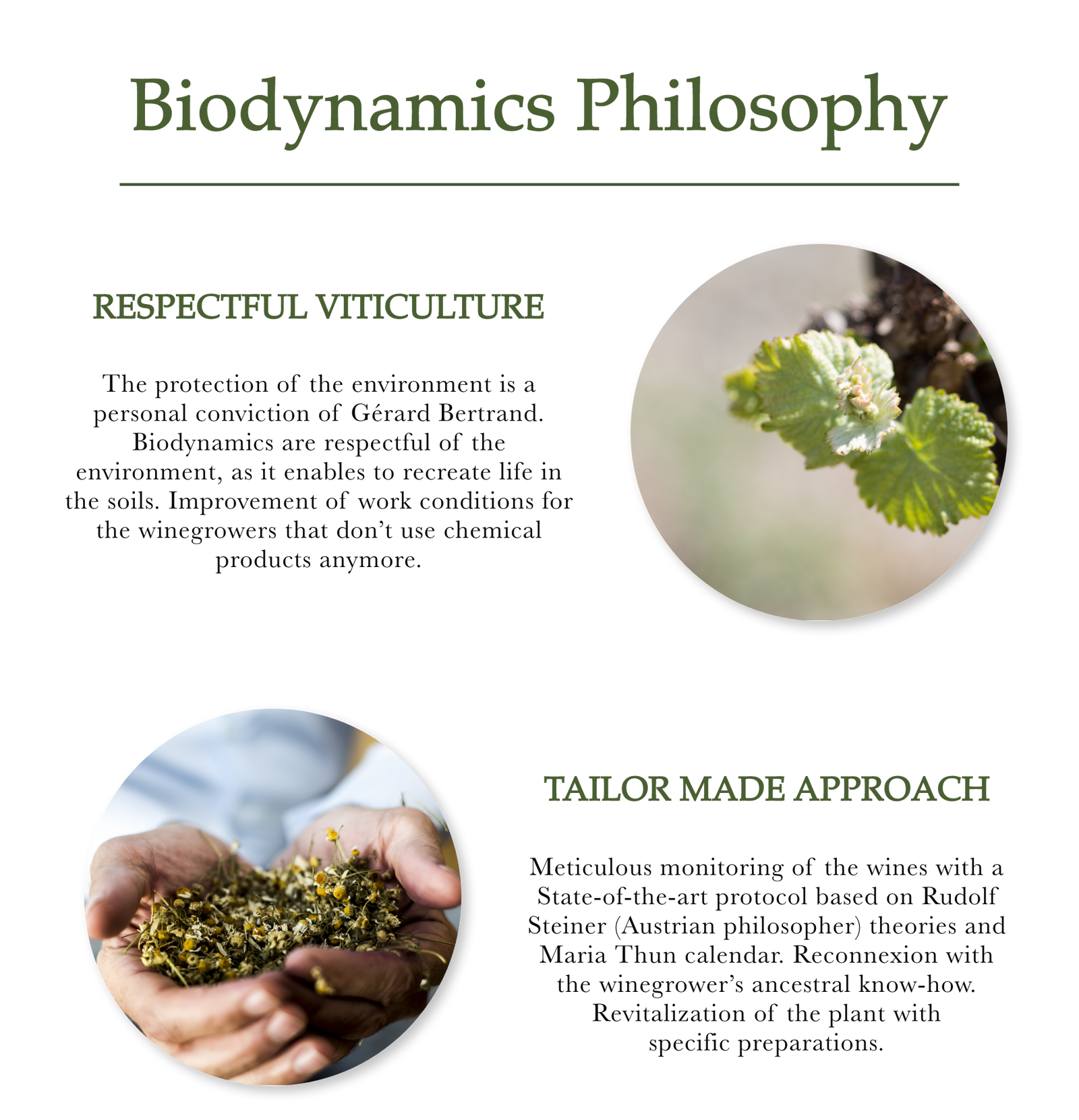 Biodynamics Philosophy
Respectful viticulture
Tailor made approach