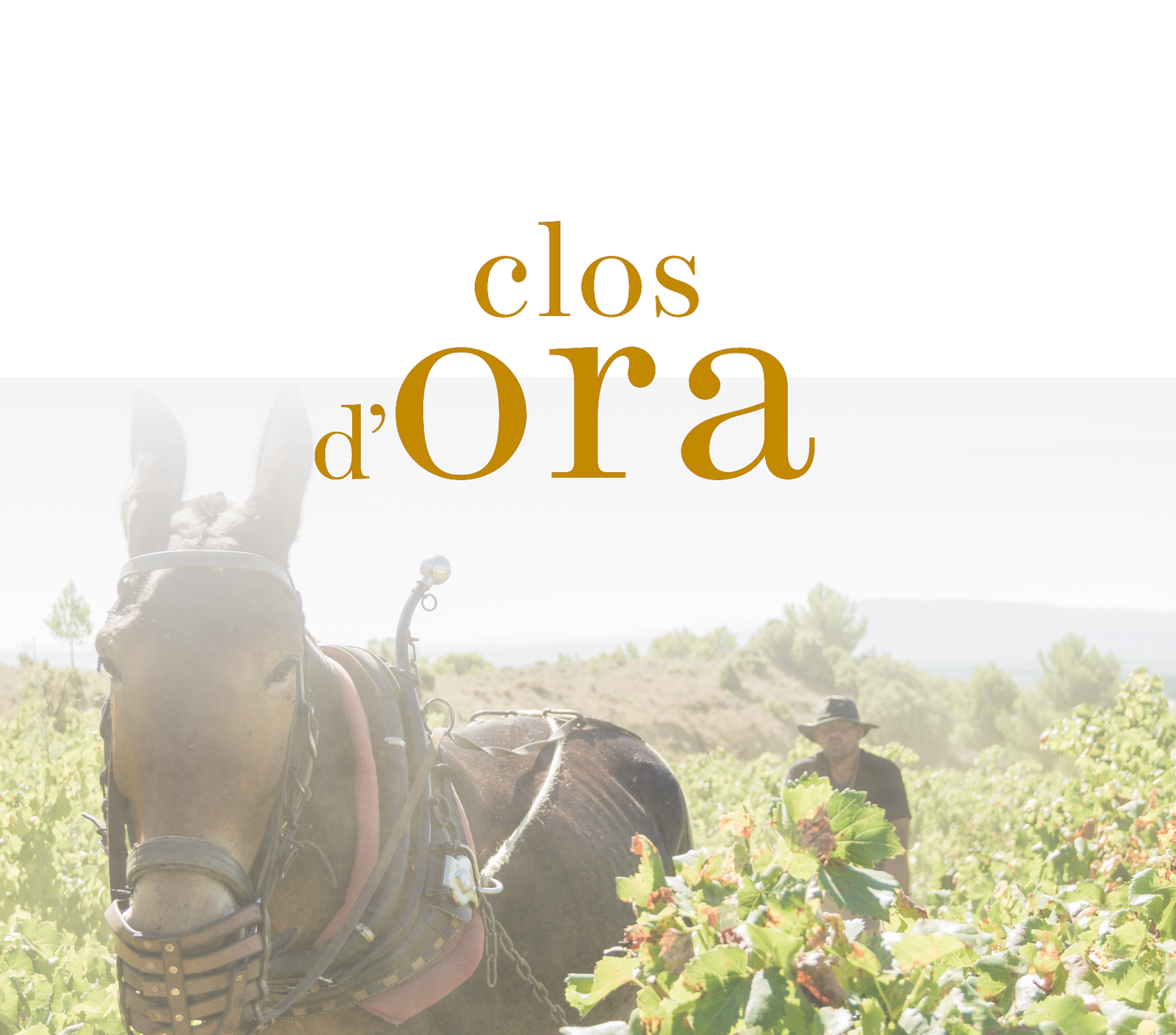 Clos d'Ora