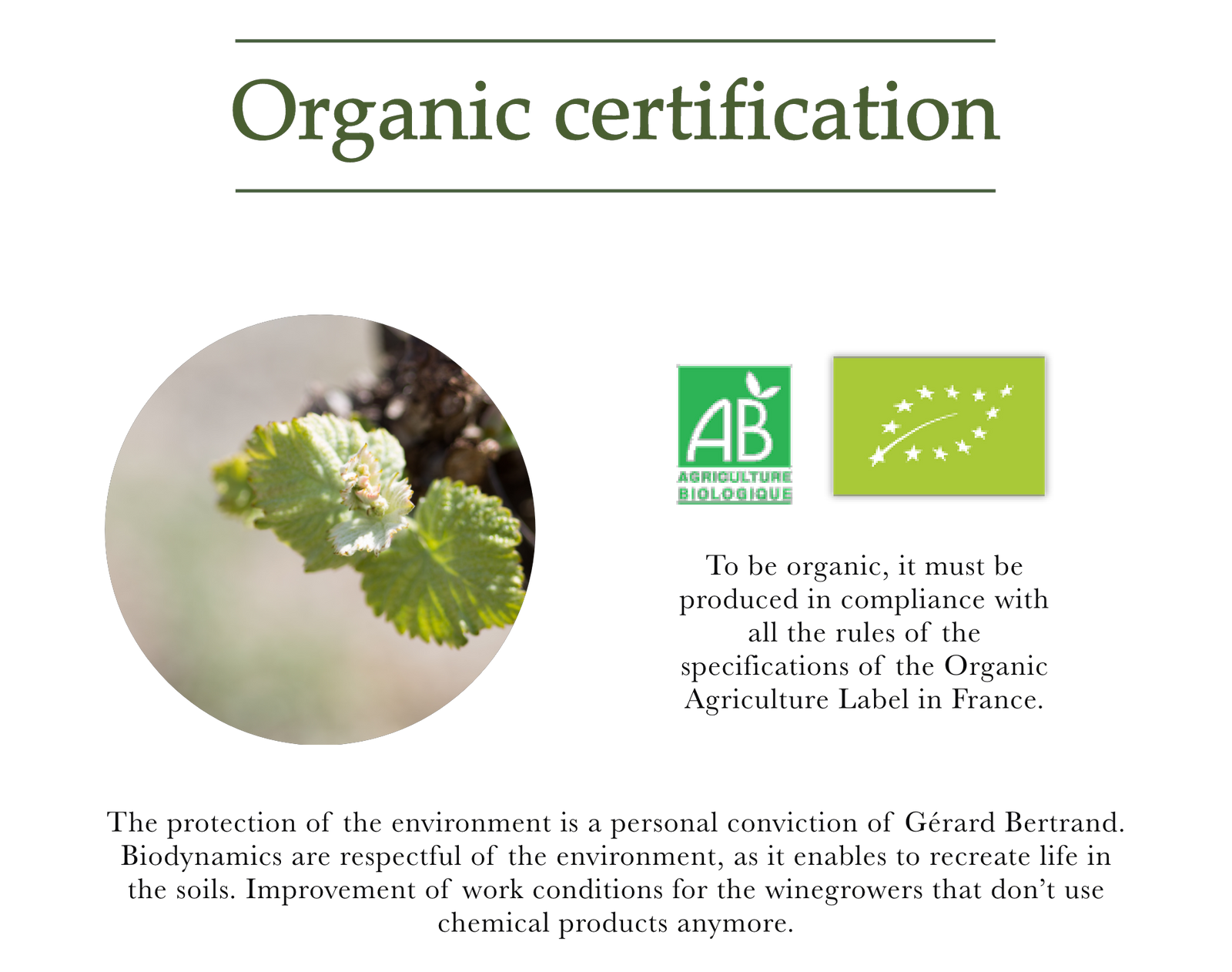 Organic certification 