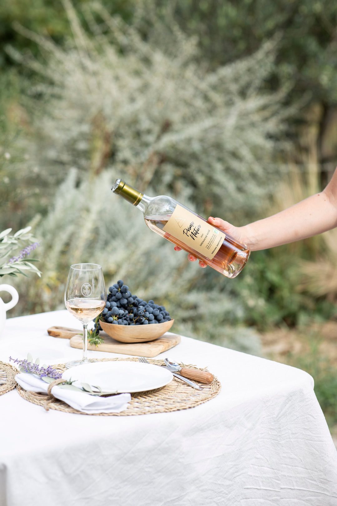 L'essor du vin bio en Languedoc